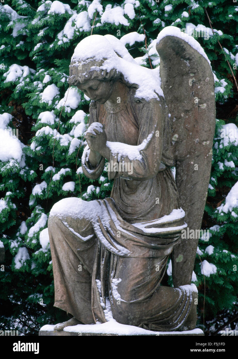 Close-up d'un ange de pierre couvert de neige Banque D'Images