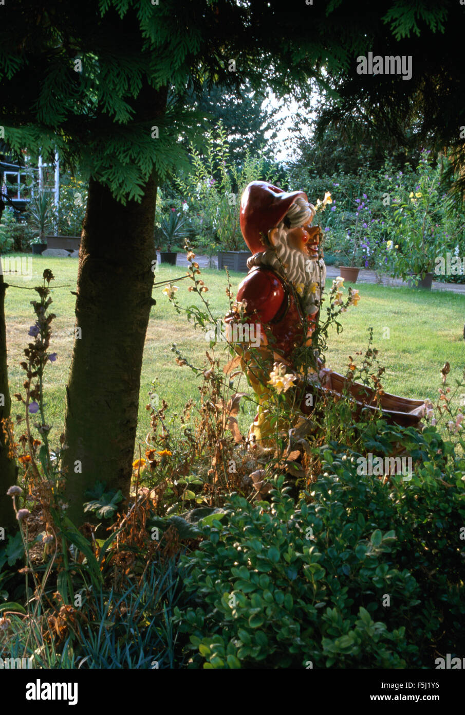 Nain de jardin en bordure de jardin ci-dessous petit arbre Banque D'Images