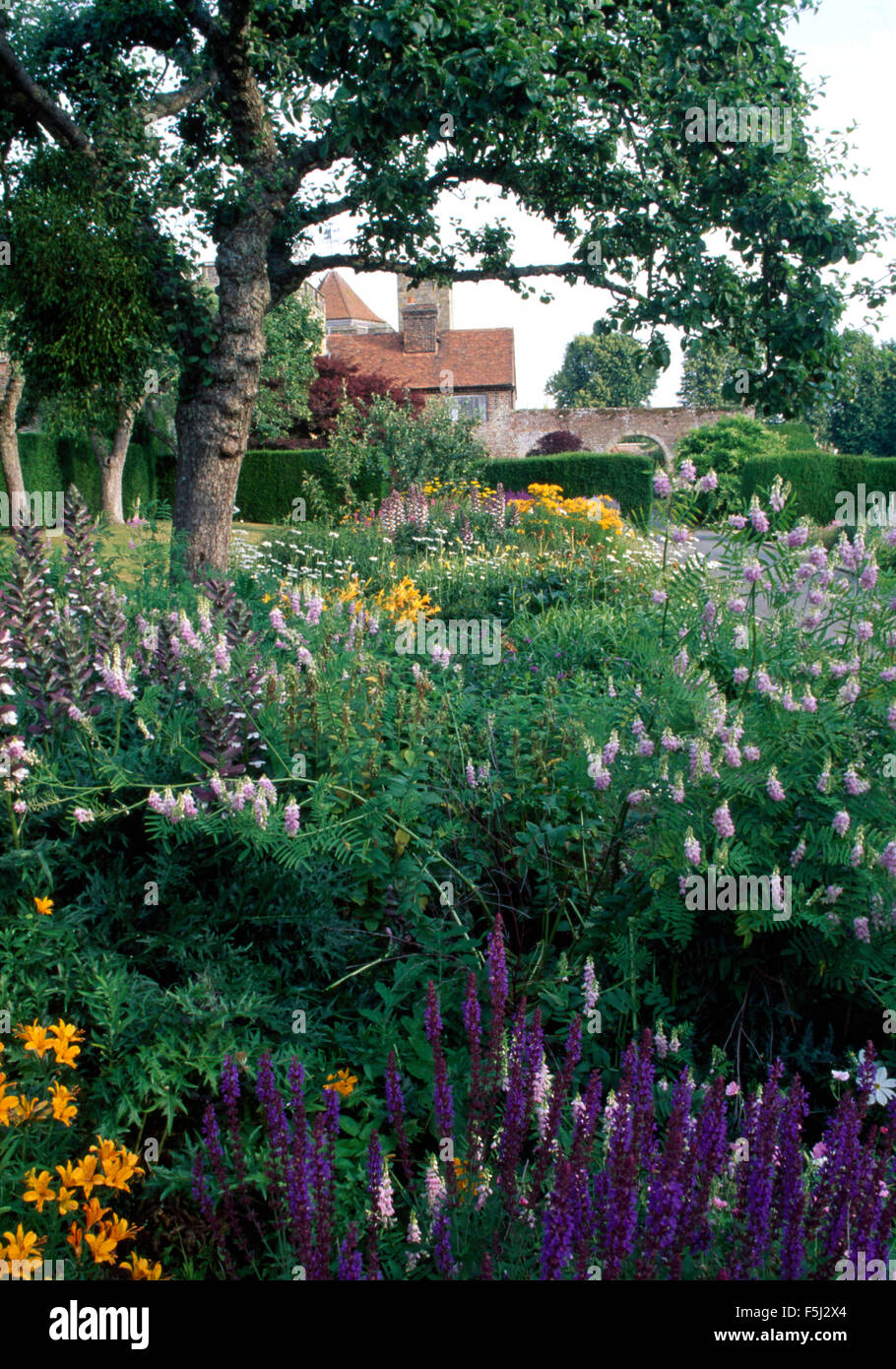 Veronica bleu et mauve pâle lupins dans une frontière dans un pays vaste jardin en été Banque D'Images