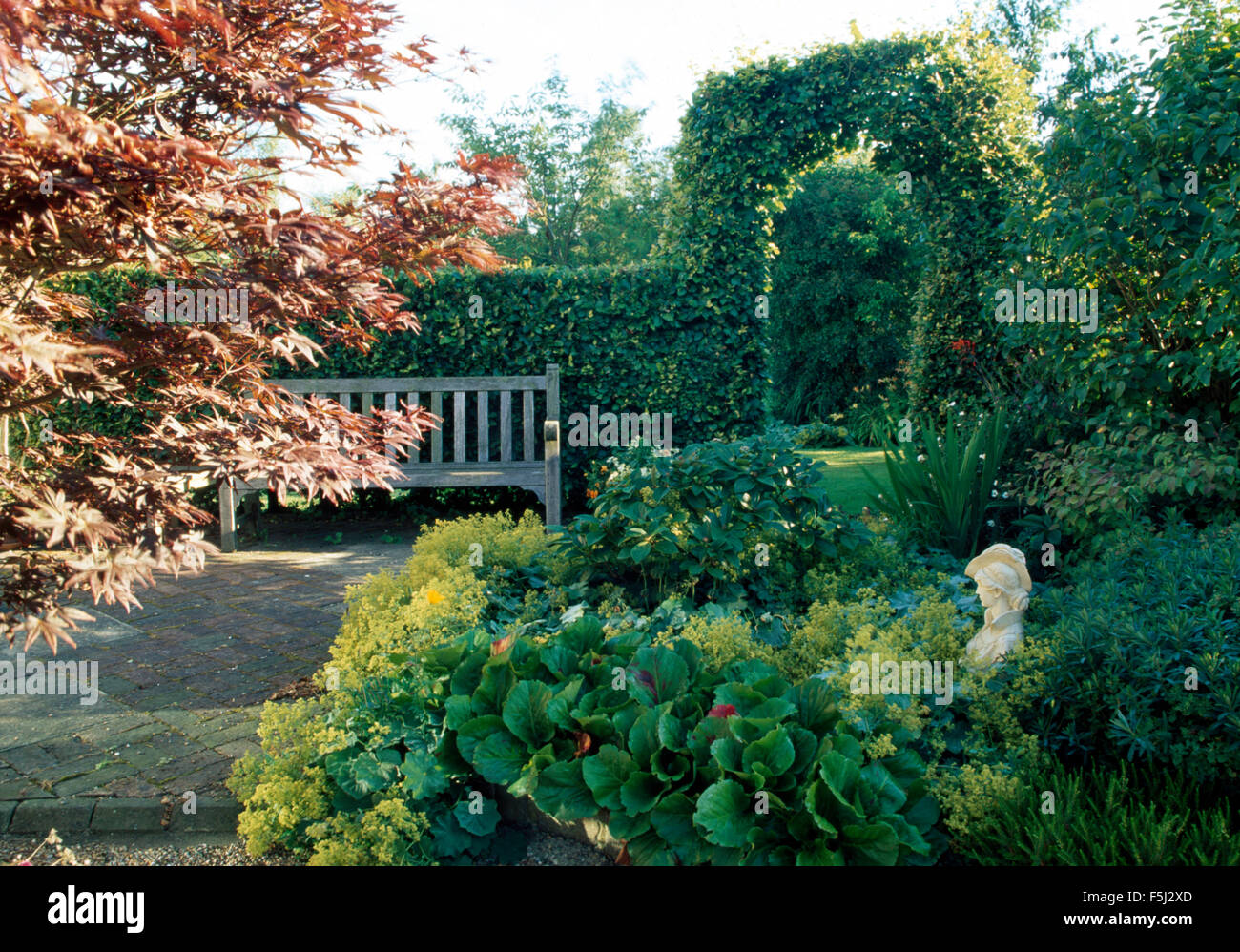 Buste de Pierre en frontière avec l'alchémille dans grand jardin avec un pays sur le pavage en bois contre une haie coupée avec un arc Banque D'Images
