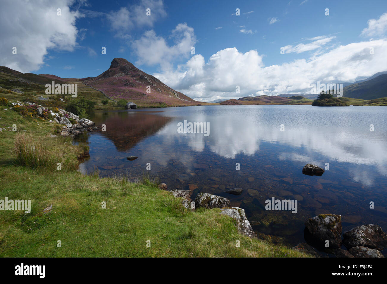 Cregennan les lacs. Le Parc National de Snowdonia. Gwynedd. Le Pays de Galles. UK. Banque D'Images