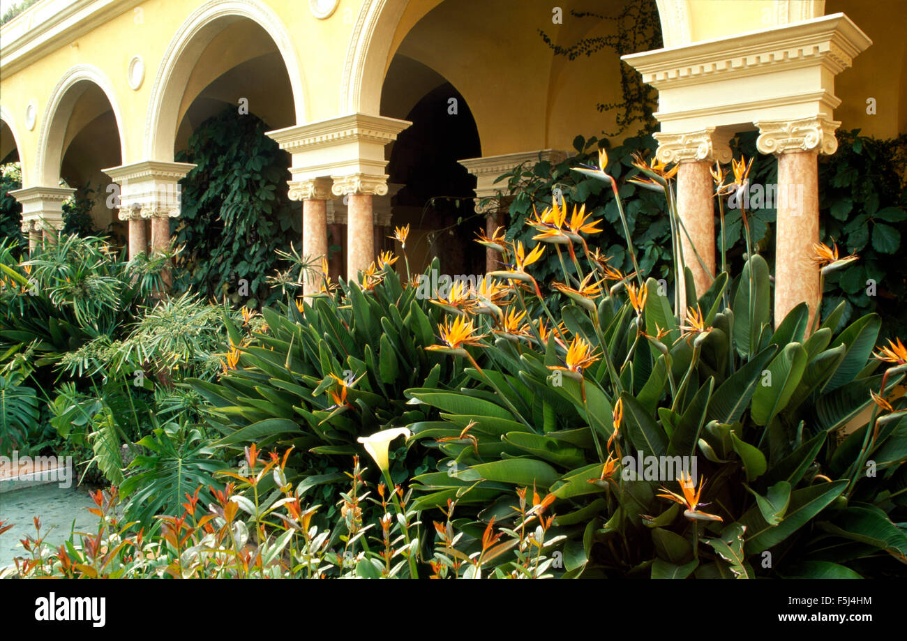 De plus en plus de Strelitzia en face d'une véranda sur une grande villa en espagnol Banque D'Images
