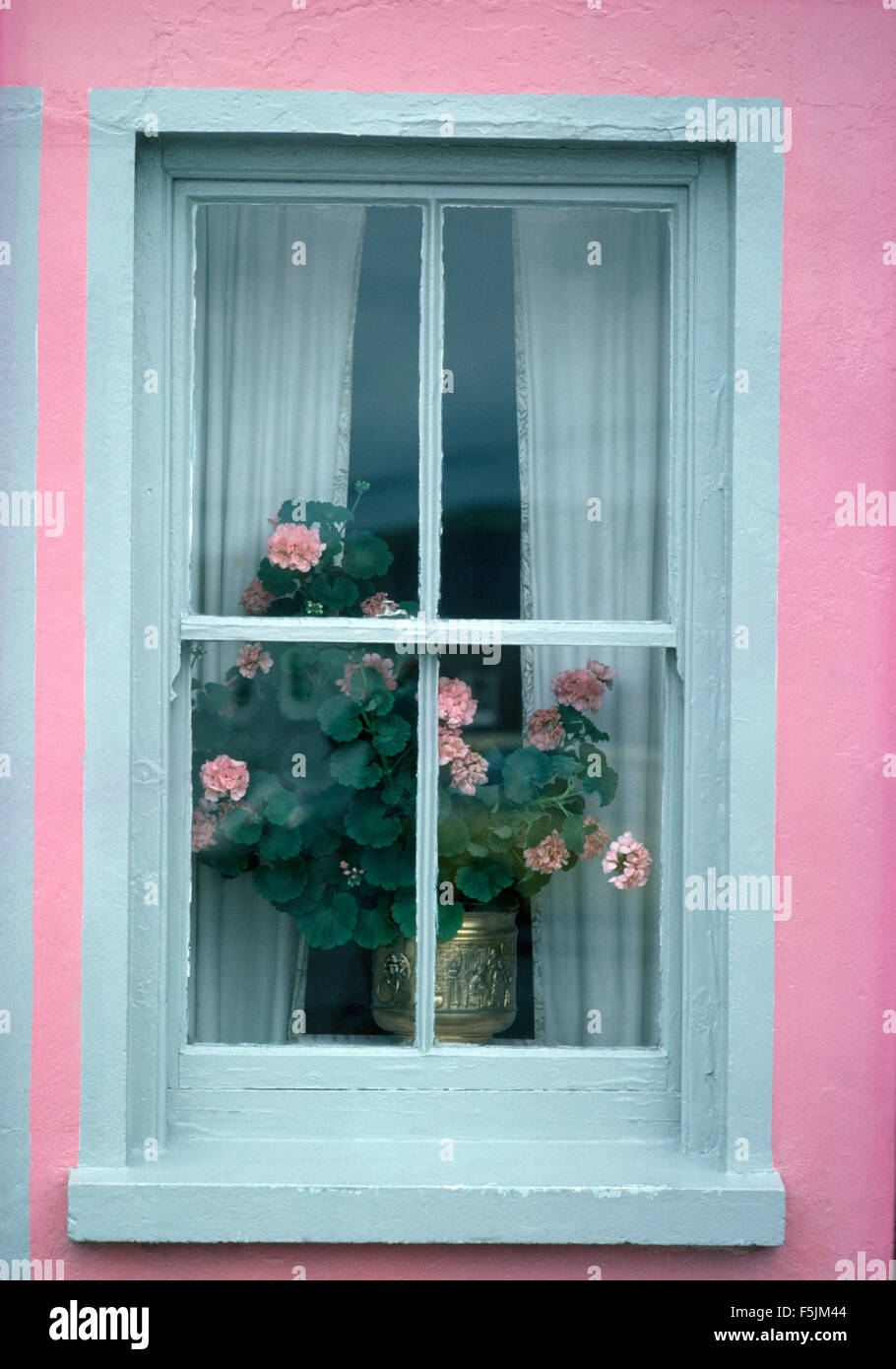Gros plan d'une maison rose avec un pot de géraniums roses dans la fenêtre Banque D'Images