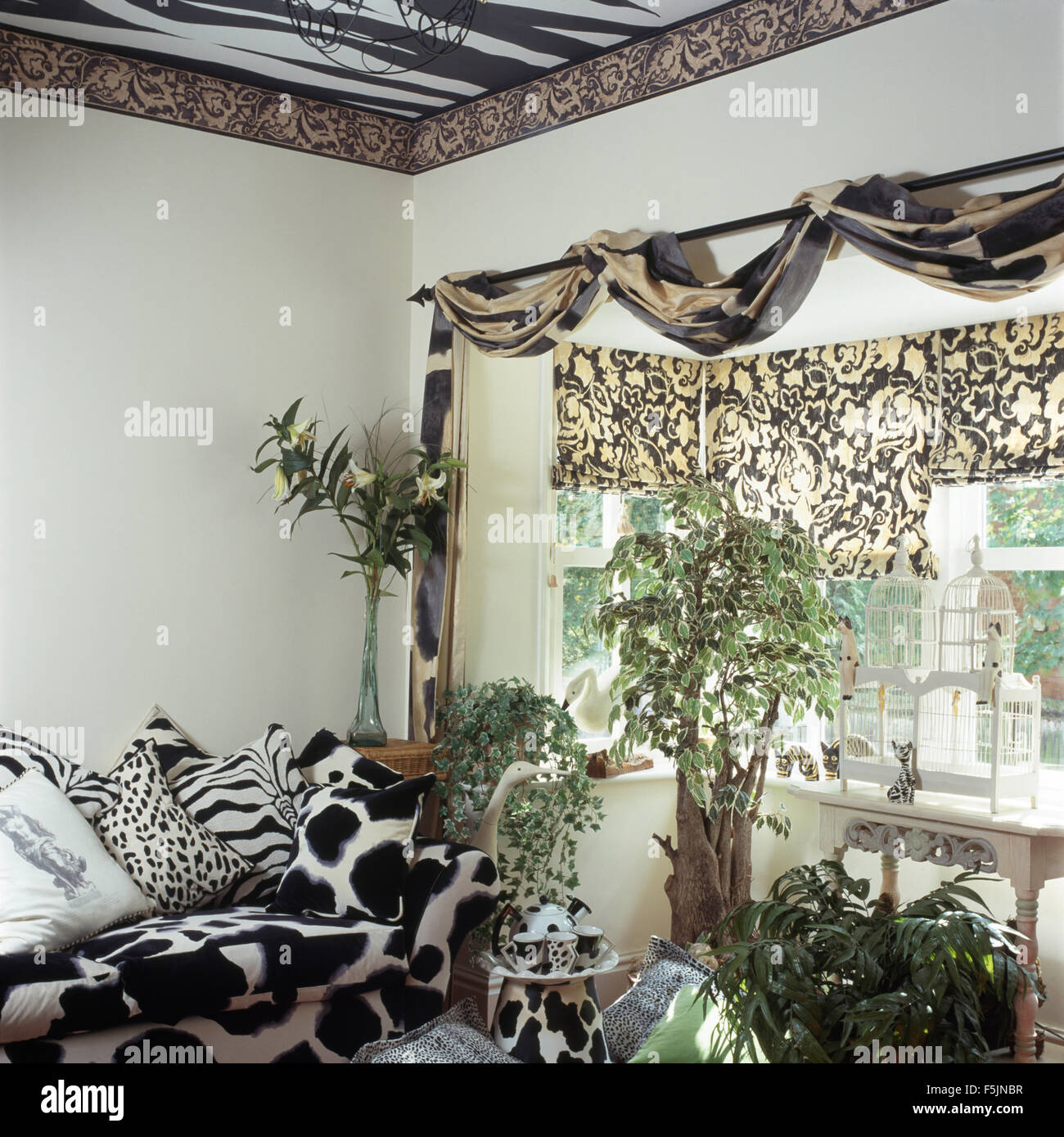 Noir +blanc animal canapé et coussins dans années 90 salon avec tissu drapé sur pôle fenêtre ci-dessus Banque D'Images