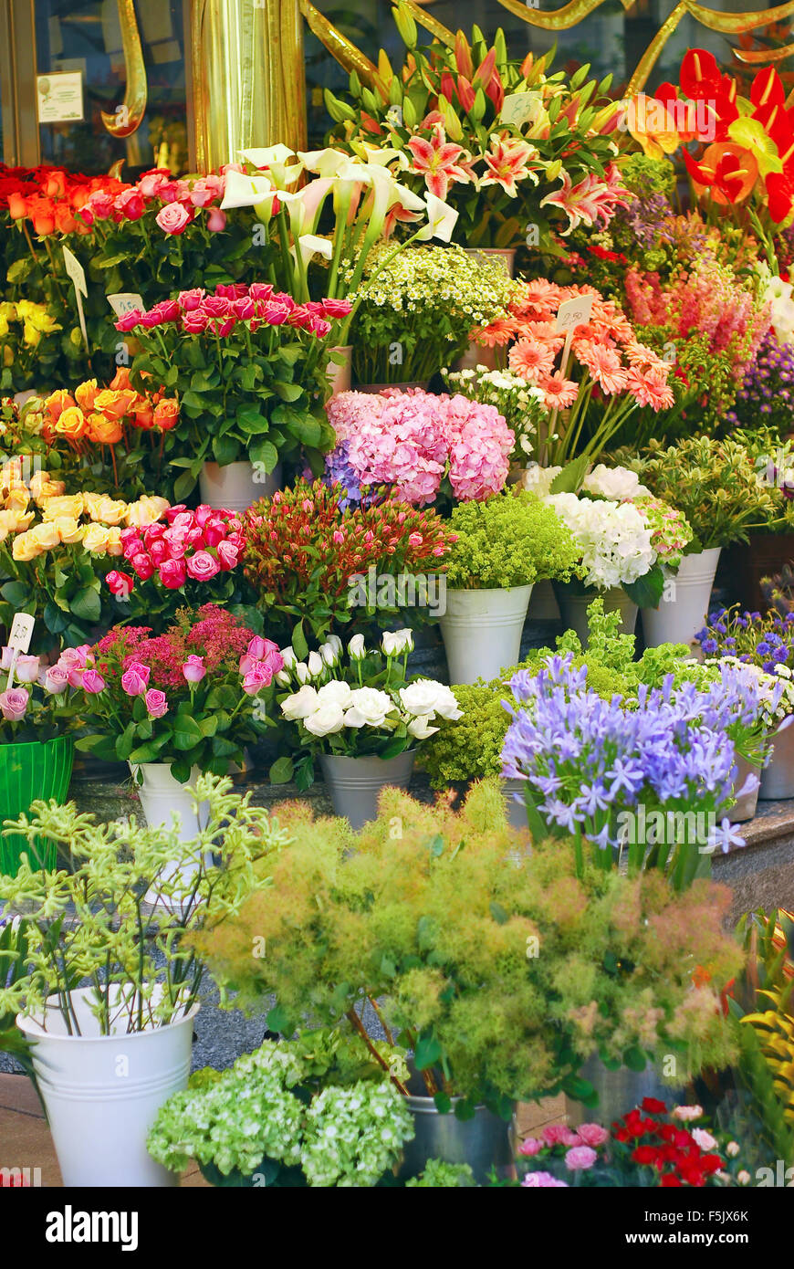 magasin de fleurs Banque D'Images
