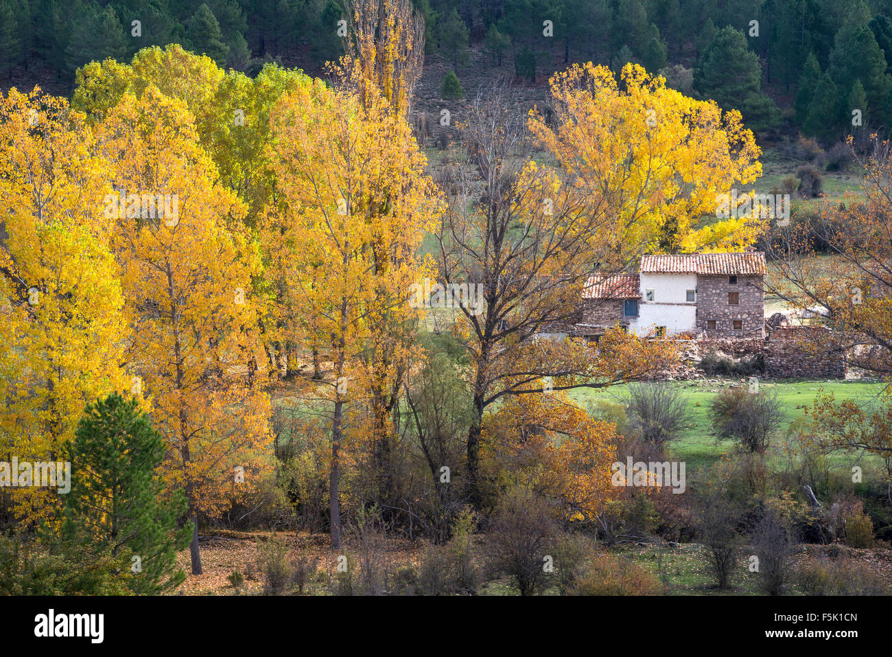 Une maison de ferme par le Rio Jucar sur la route d'Una à Huelamo dans la Serrania de Cuenca, Castilla-la Mancha, Centre de l'Espagne Banque D'Images
