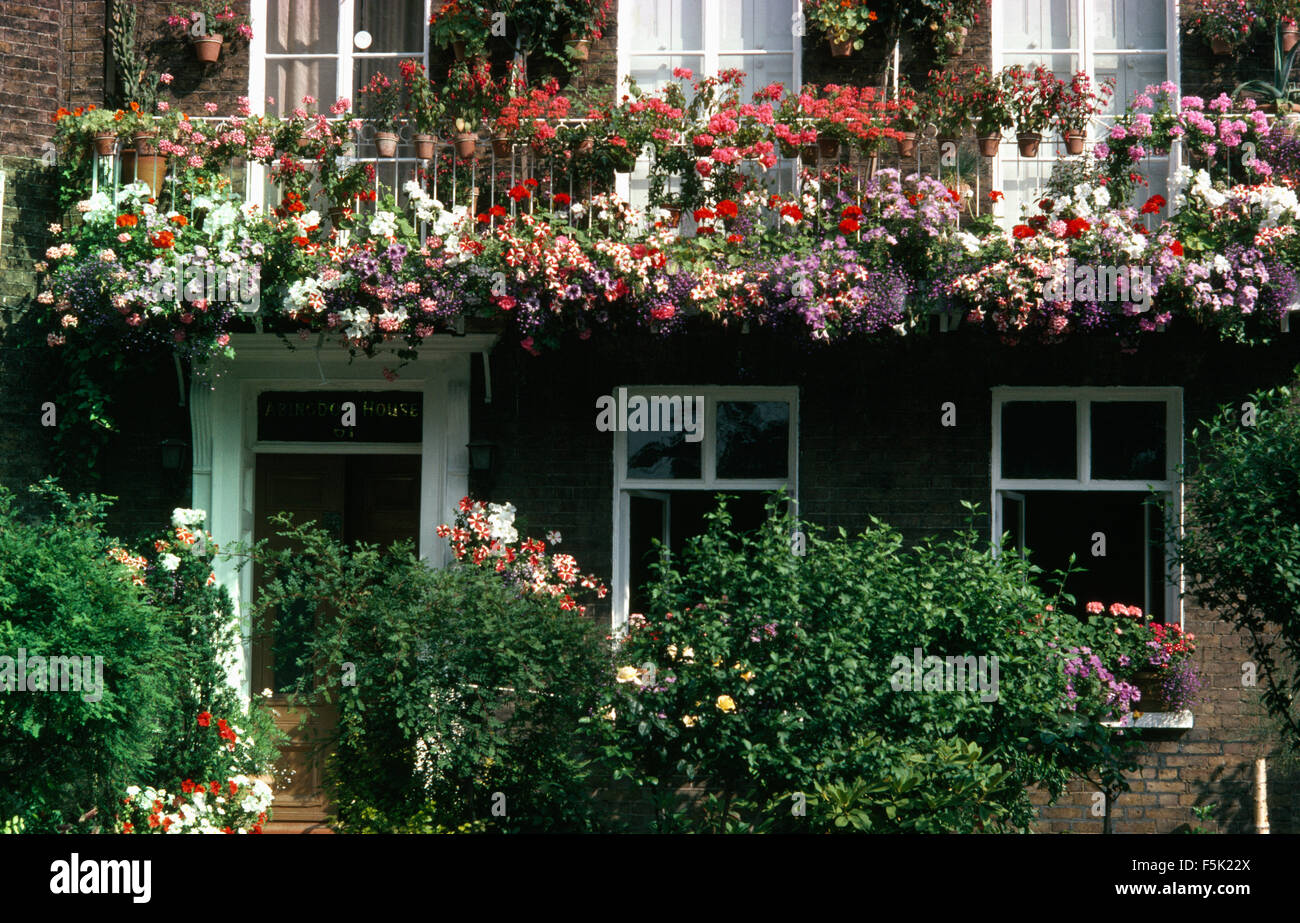 Les pétunias et géraniums colorés en suspensions et jardinières sur un balcon maison Banque D'Images