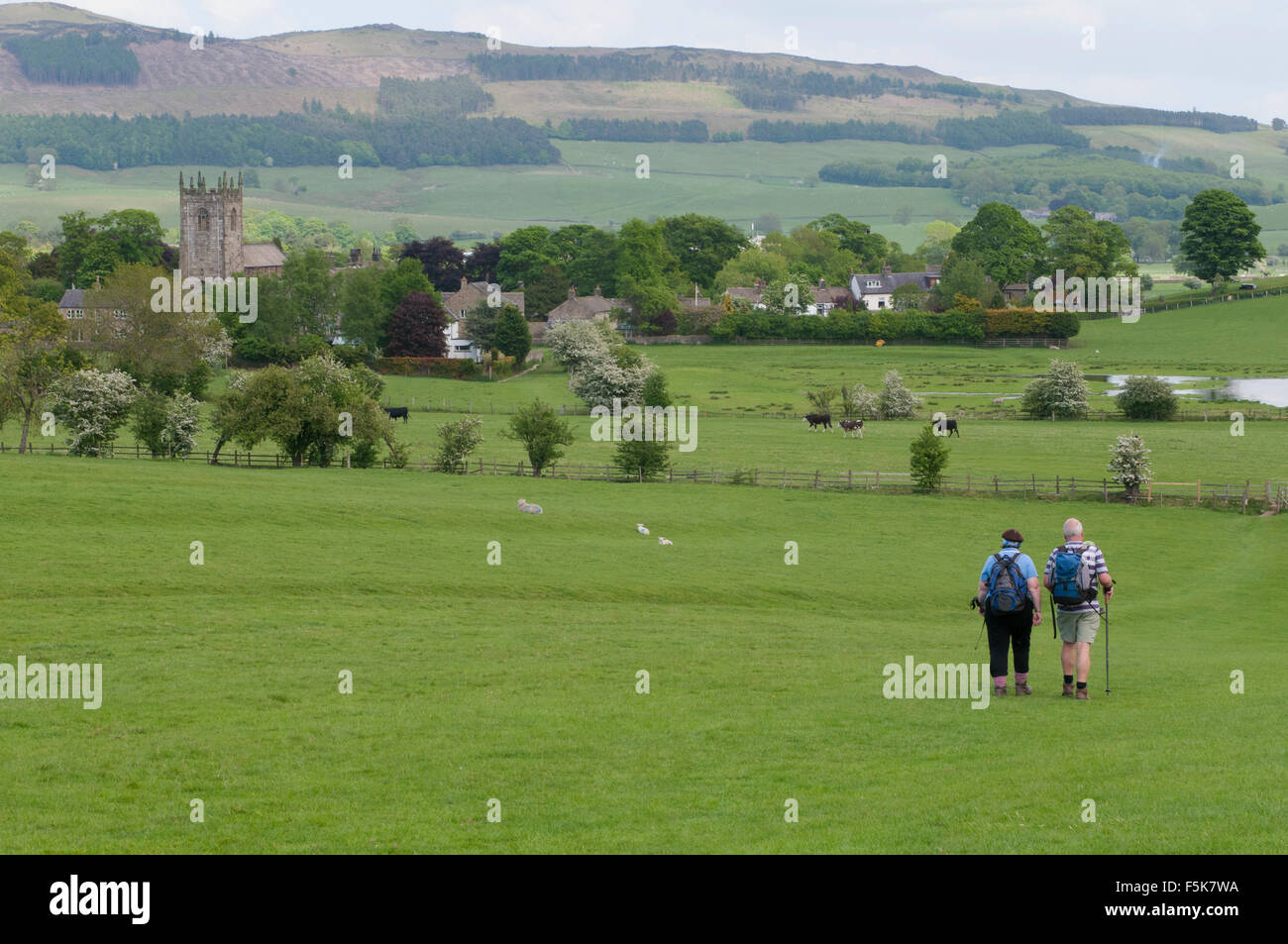 Couple de randonneurs dans une belle campagne à pied à travers un champ vers collines et village pittoresque de Gargrave (North Yorkshire, England, UK). Banque D'Images