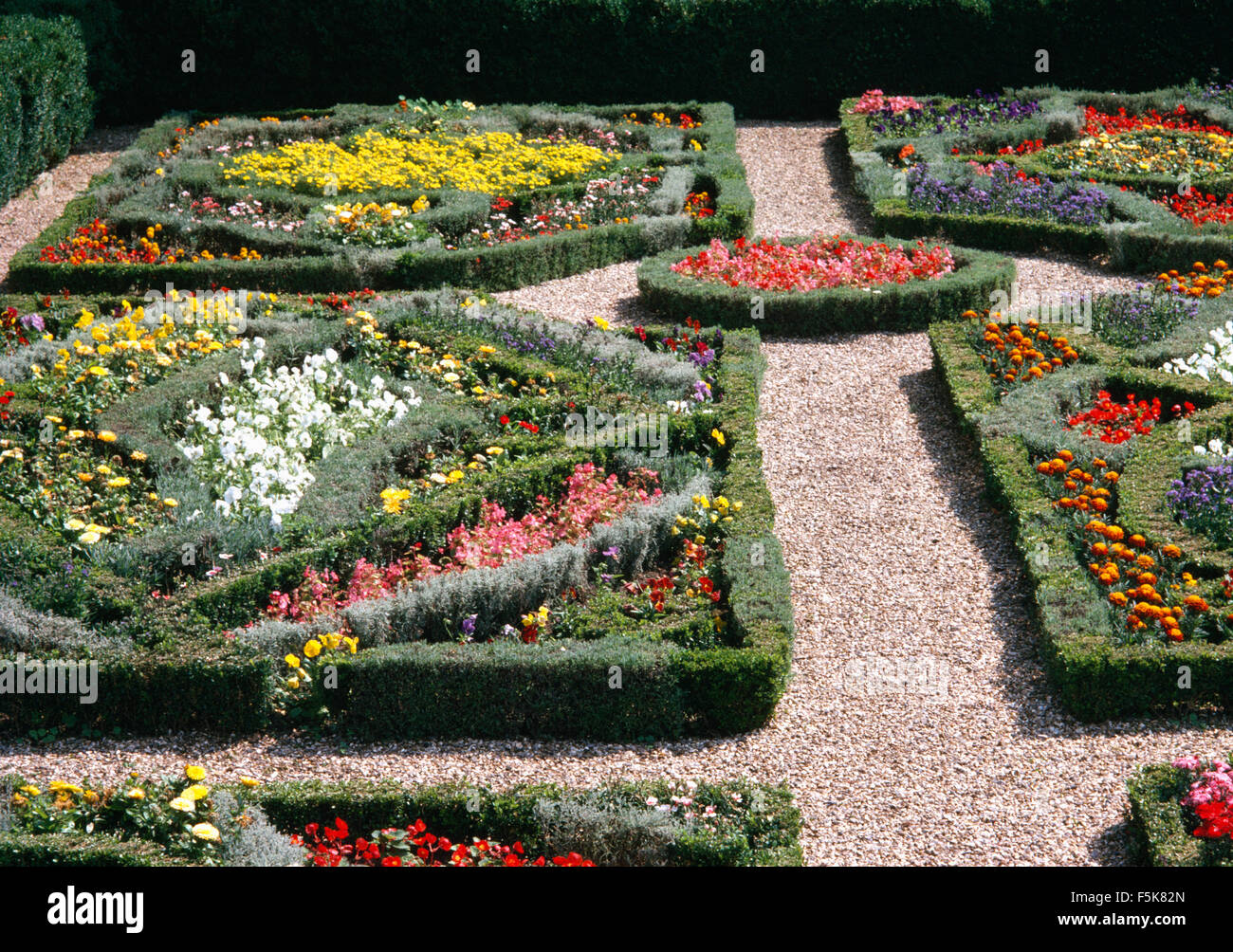 Les annuelles d'été colorés dans un grand jardin avec nœud formelle sentiers en gravier bordée de buis taillés bas Banque D'Images