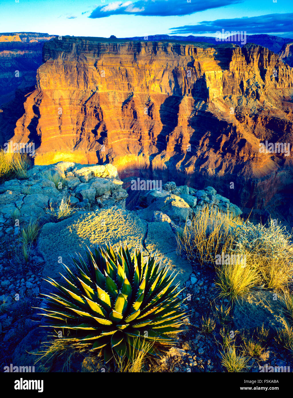 Avis de Chuar Butte depuis le cap de la solitude, du Parc National de Grand Canyon, Colorado, Arizona, South Rim Banque D'Images