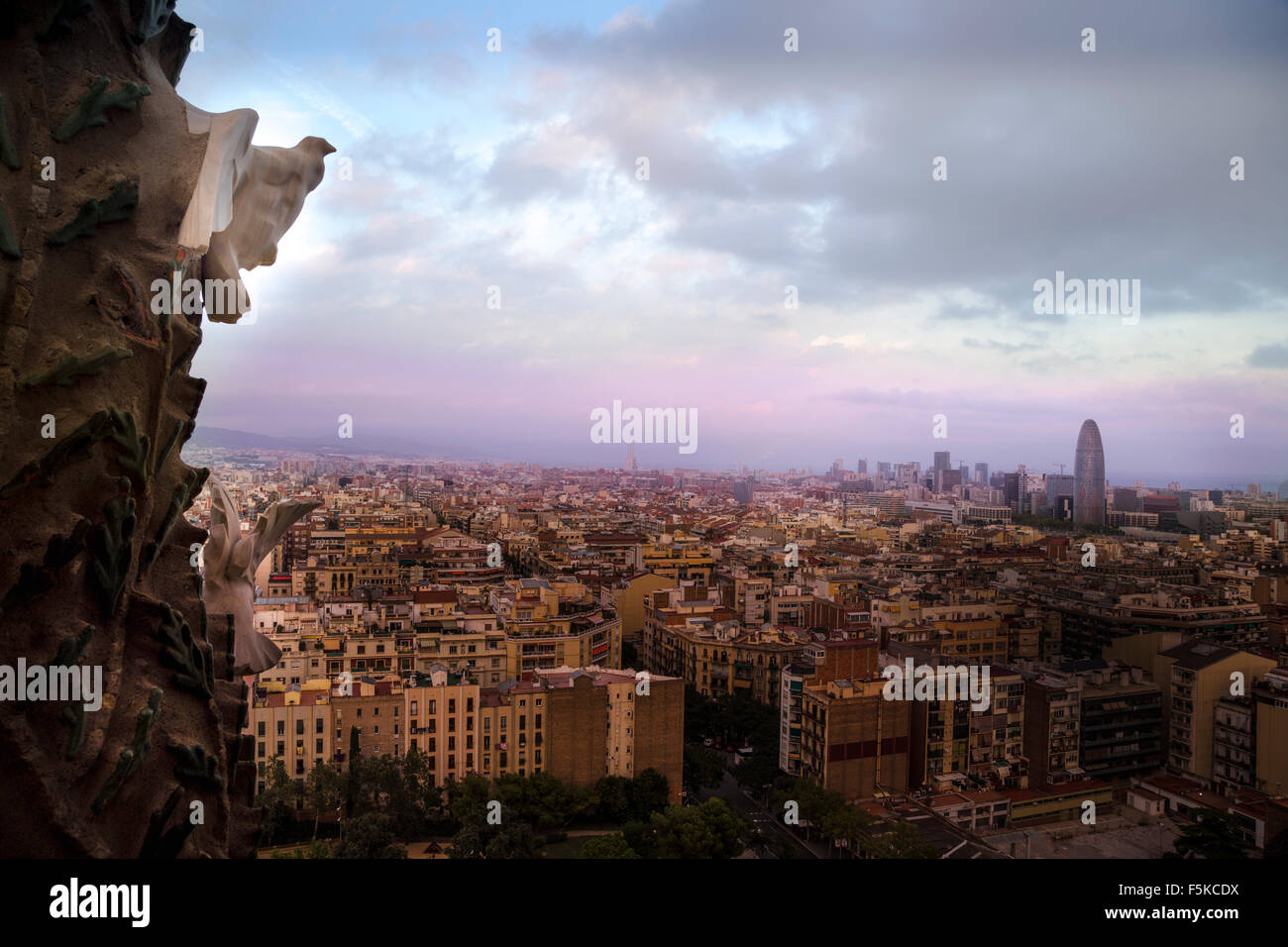 Barcelone, Espagne - 21 septembre 2015 : Colombe de pierre donne sur la ville de Barcelone. Banque D'Images
