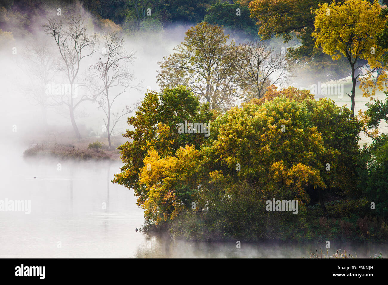 Brume d'automne sur le lac sur le Bowood Estate dans le Wiltshire. Banque D'Images