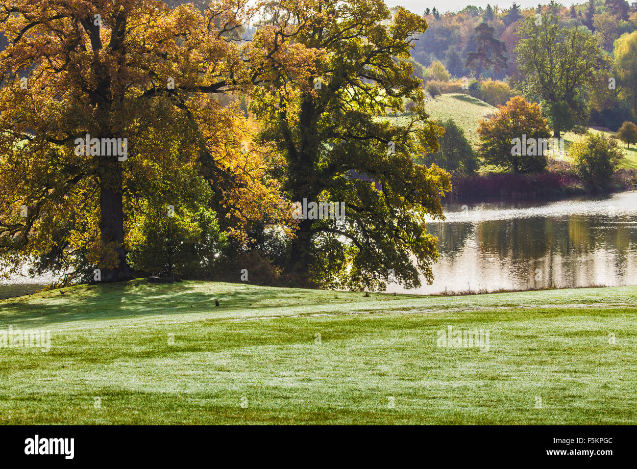 Les arbres d'automne par le lac sur le Bowood Estate dans le Wiltshire. Banque D'Images