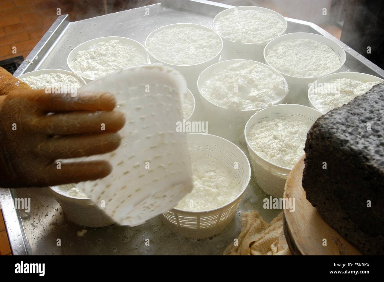 Agordino fromage ricotta, Crédit © Marco Bruzzo/Sintesi/Alamy Stock Photo Banque D'Images