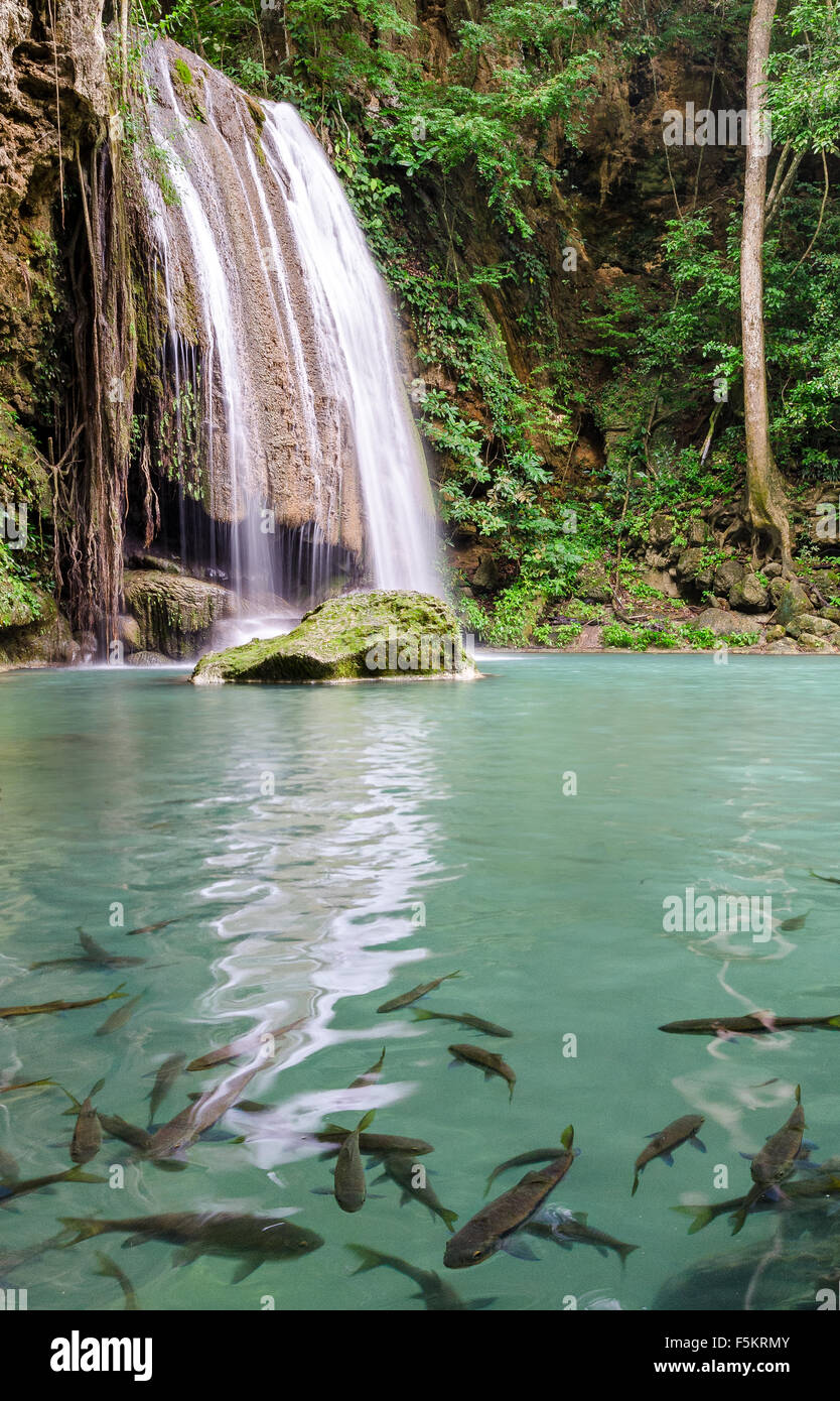 Les chutes d'Erawan (Thaïlande) Banque D'Images