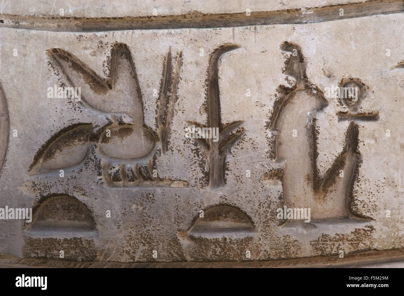 L'écriture hiéroglyphique. Mit Rahina Open Air Museum. Memphis. L'Égypte. Banque D'Images