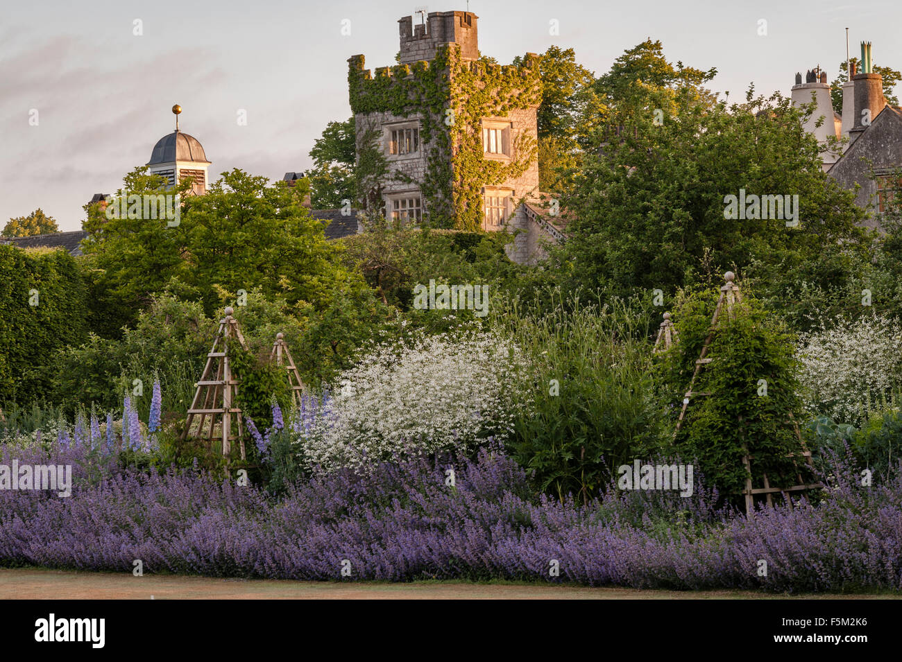 Levens Hall, Cumbria, Royaume-Uni. Un célèbre jardin topiaire. Le Pastel mixte près des boules, avec cataire et delphiniums Banque D'Images
