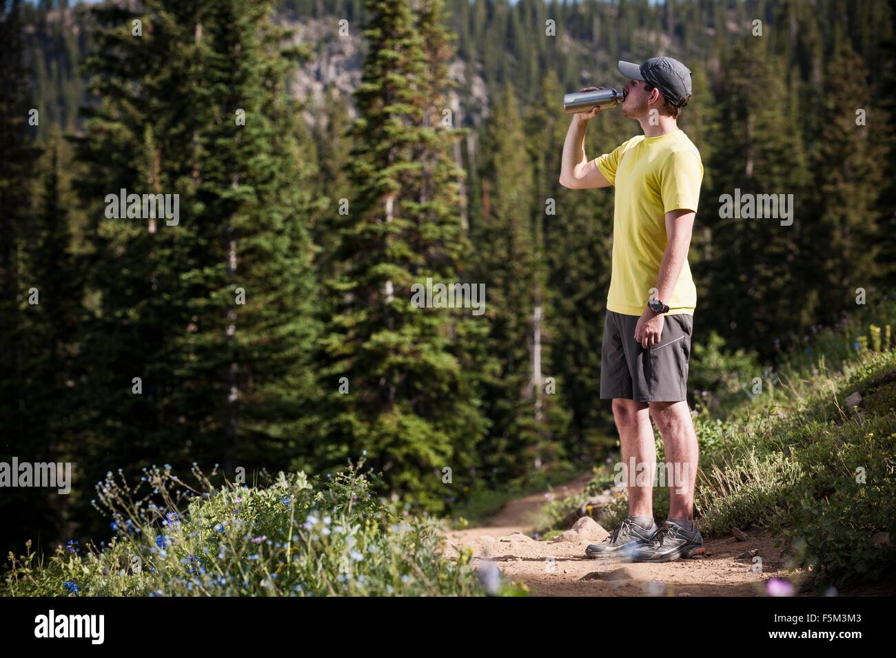 Runner prendre pause, boire, Bloods Lake trail près de montagnes Wasatch, Col Guardsman, Utah, USA Banque D'Images Runner prendre pause, boire, Bloods Lake trail près de montagnes Wasatch, Col Guardsman, Utah, USA Banque D'Images