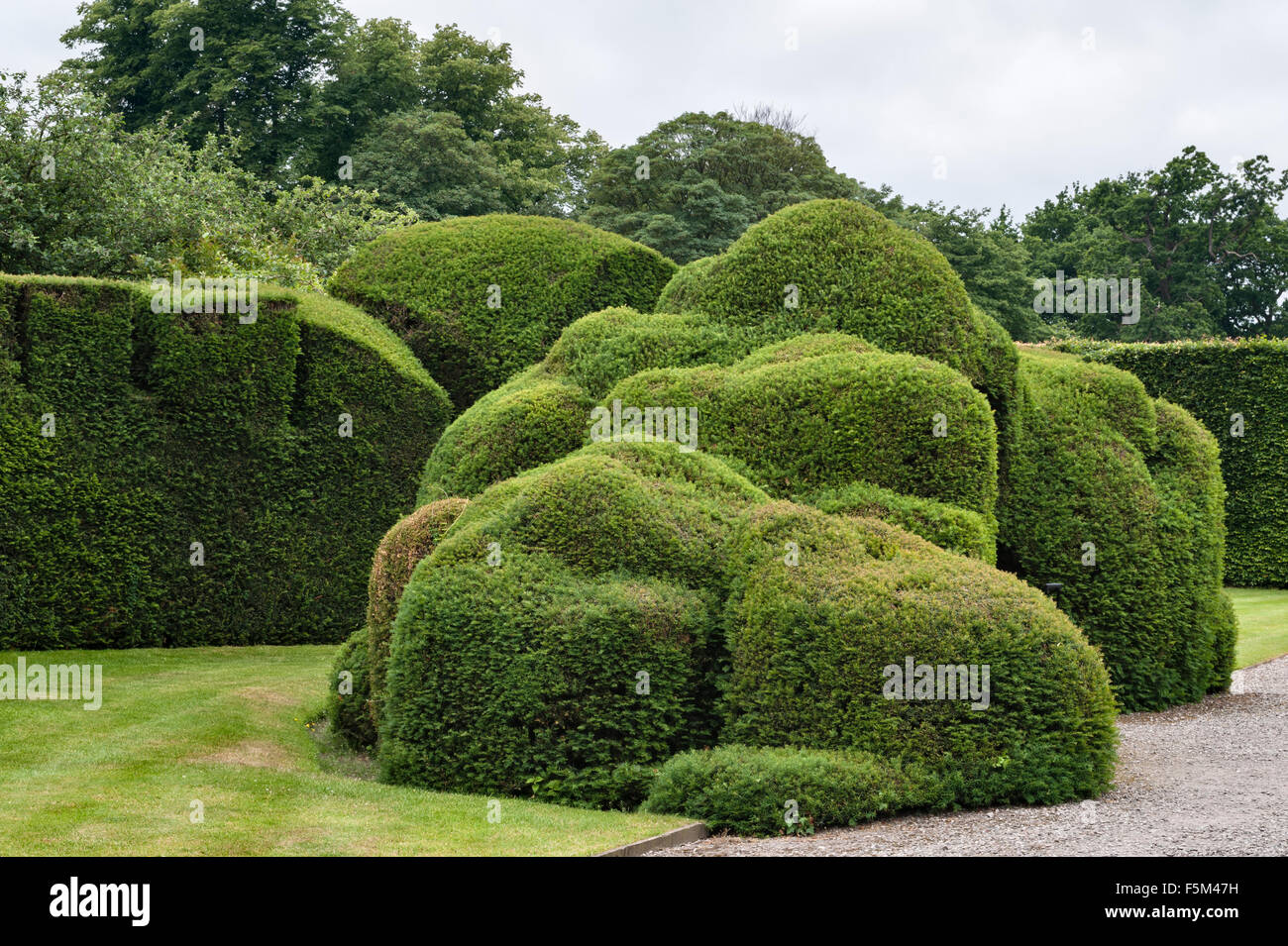 Levens Hall, Cumbria, Royaume-Uni. A la fin de 16c Manor House célèbre pour son jardin topiaire excentrique, appartenant à la famille Bagot Banque D'Images