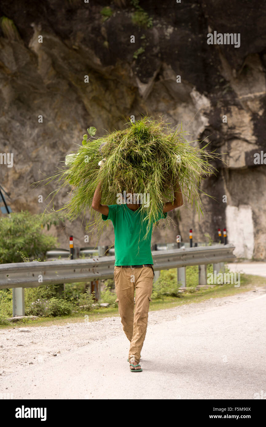 L'Inde, l'Himachal Pradesh, Kinnaur, homme qui marche avec l'alimentation animale sur la tête, sur la rivière Sutlej en coupe gorge escarpée Banque D'Images