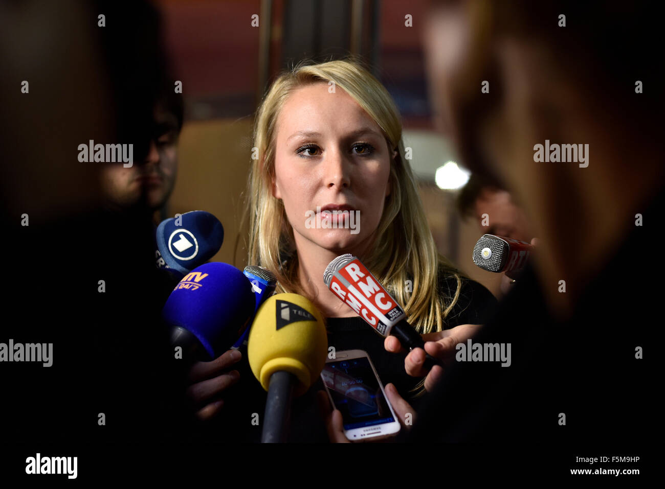 Lyon (sud-est de la France) : XVE Congrès du Front national français (Front National) (2014/11/29) Banque D'Images
