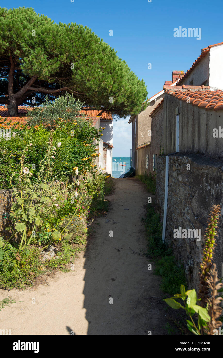 L'île de Noirmoutier (au large de la côte Atlantique de la France) : 'plage plage du vieil' Banque D'Images