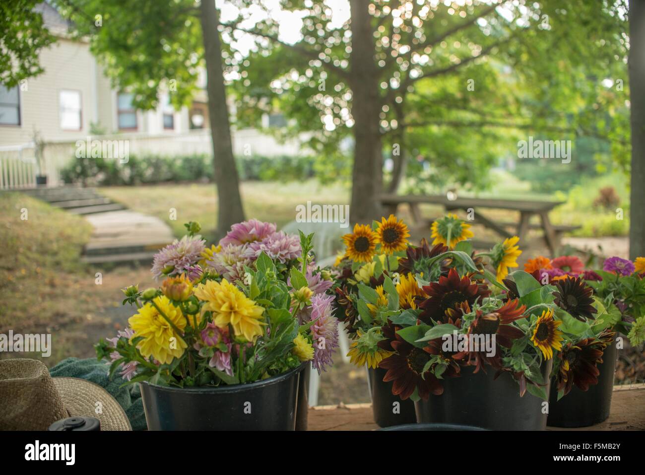 Seaux de fleurs fraîches de la ferme à vendre Banque D'Images