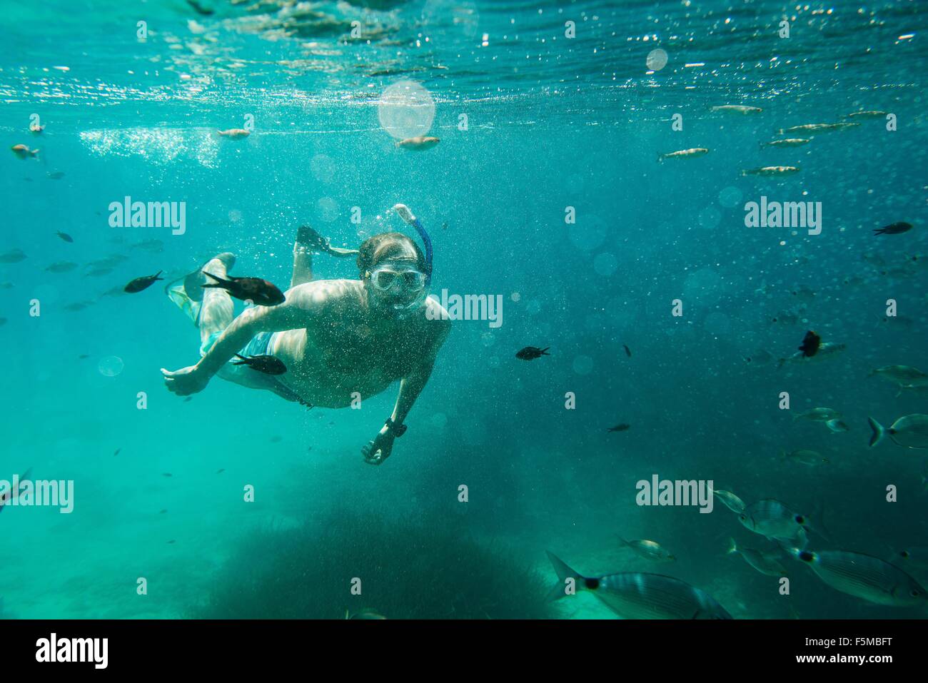 Vue sous-marine de l'homme mûr en apnée, Minorque, Iles Baléares, Espagne Banque D'Images