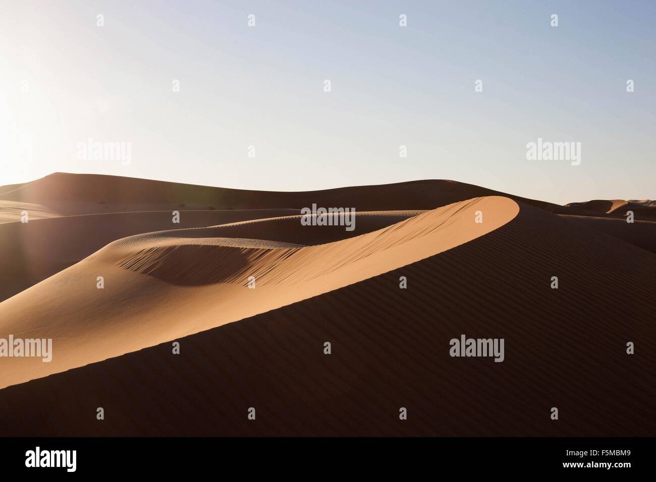 Les dunes de sable, les oasis de Liwa, Abu Dhabi, UAE Banque D'Images