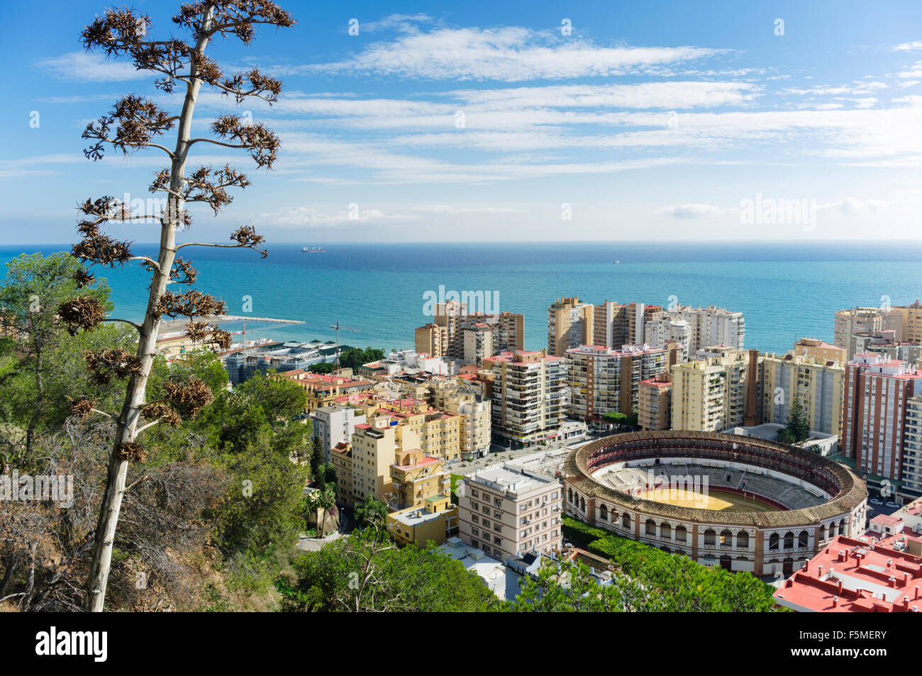 Aperçu de La Malagueta et les arènes de district. Malaga, Andalousie, Espagne Banque D'Images