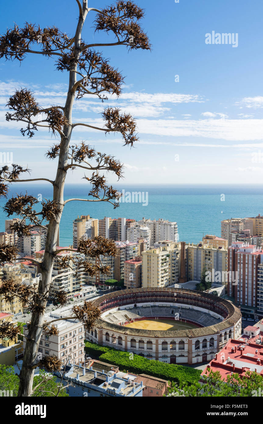 Aperçu de La Malagueta et les arènes de district. Malaga, Andalousie, Espagne Banque D'Images