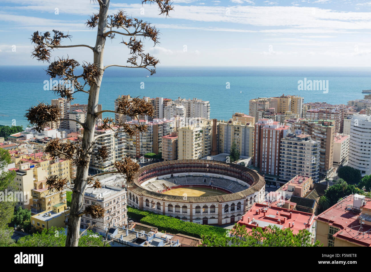 Aperçu de La Malagueta et les arènes de district. Malaga, Andalousie, Espagne Banque D'Images