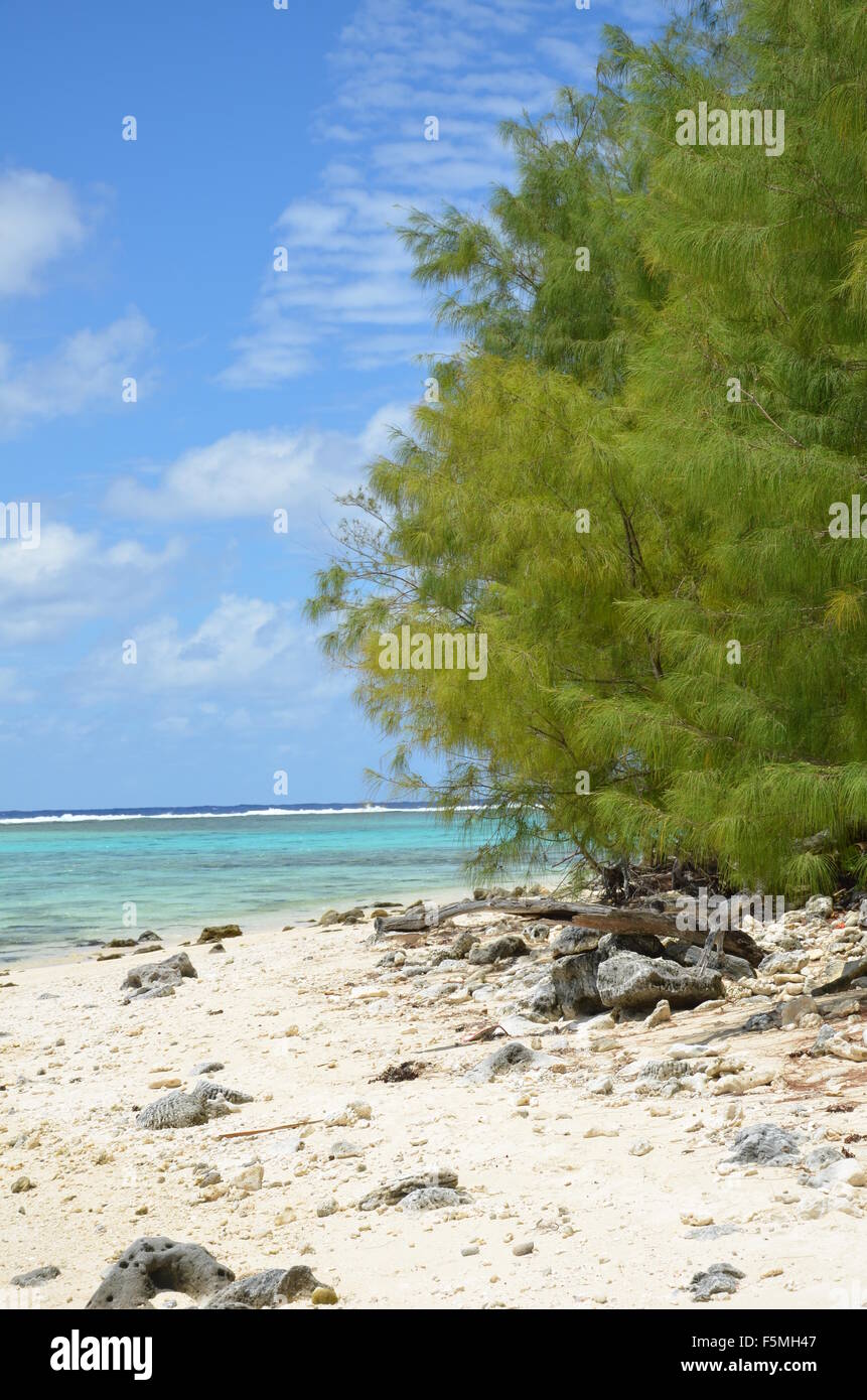 Plage paysage, Rarotonga, îles Cook Banque D'Images