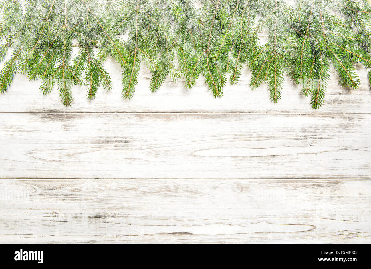 Les rameaux de l'arbre de Noël avec de la neige sur fond de bois Banque D'Images