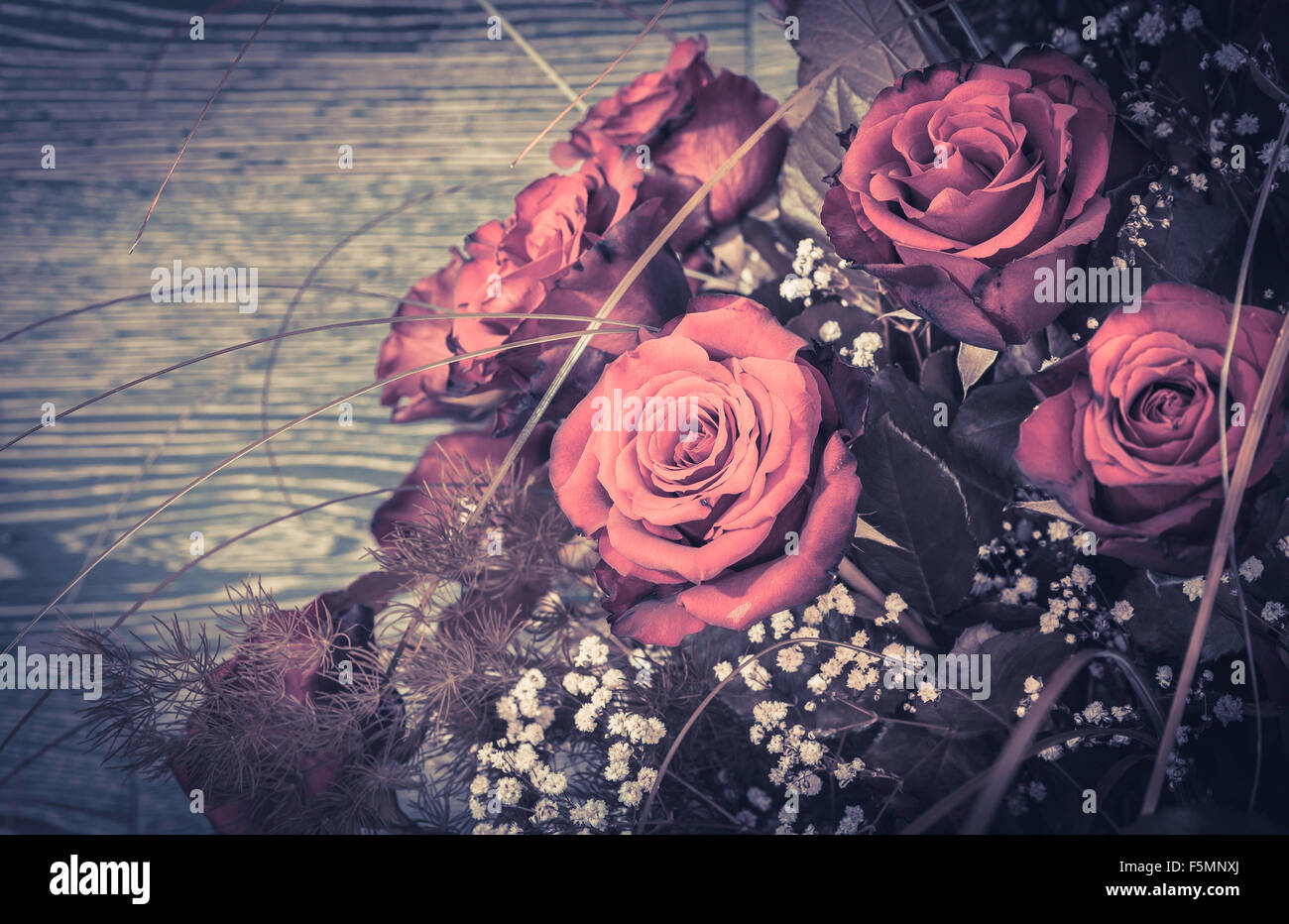 Gros plan du magnifique bouquet de roses rouges fraîchement coupé Banque D'Images