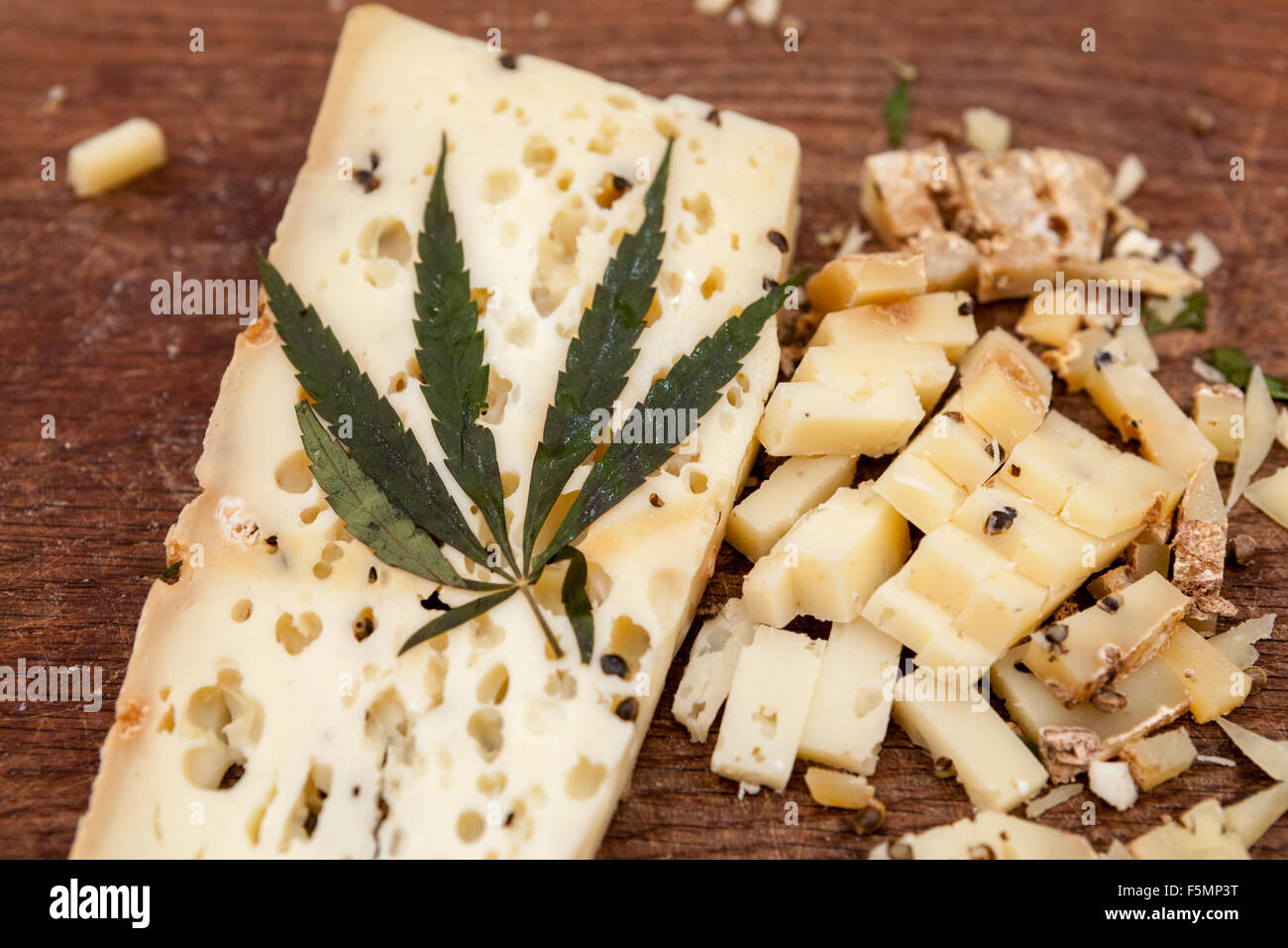 Fromage de brebis mûri, feuilles de chanvre décorées, cannabis comestible République tchèque Banque D'Images