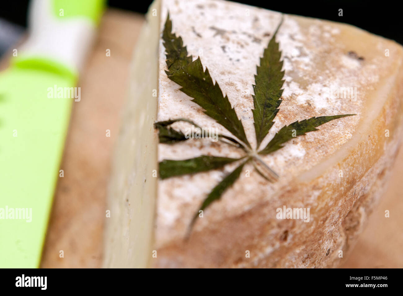 Produit de la ferme familiale. Dégustation et offre de fromage de brebis décoré d'une feuille de cannabis dans la République tchèque de Prague Banque D'Images