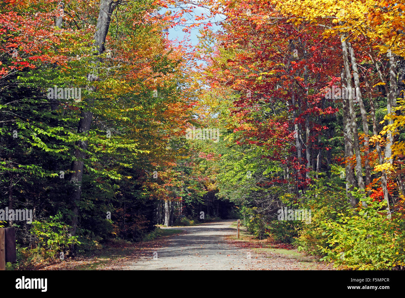 Automne feuillage Coos Comté New Hampshire New England USA feuillage d'automne chemin rural farm country Banque D'Images