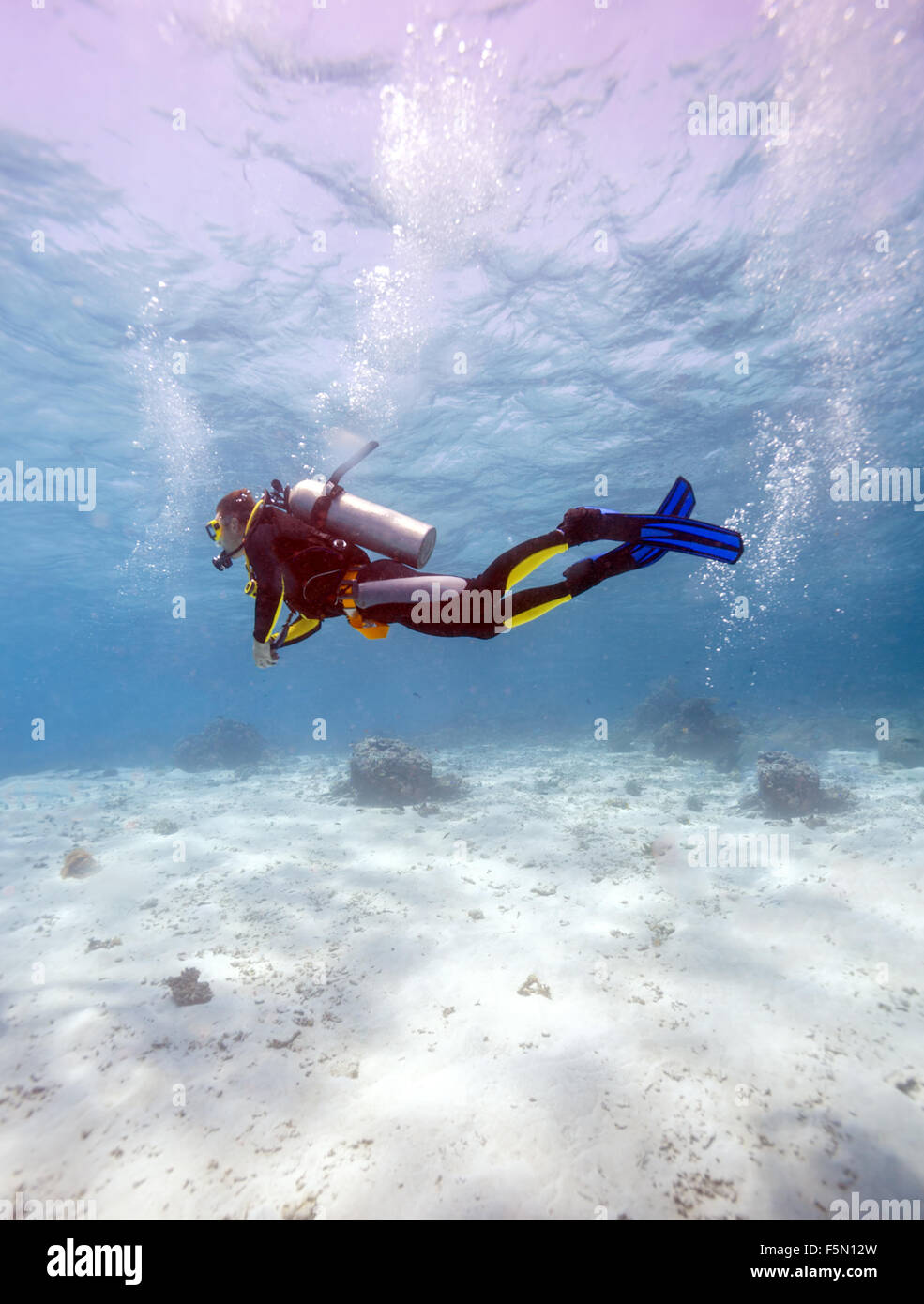 Silhouette de jeune homme de Plongée sous marine entre la mer et la surface de l'eau bas Banque D'Images