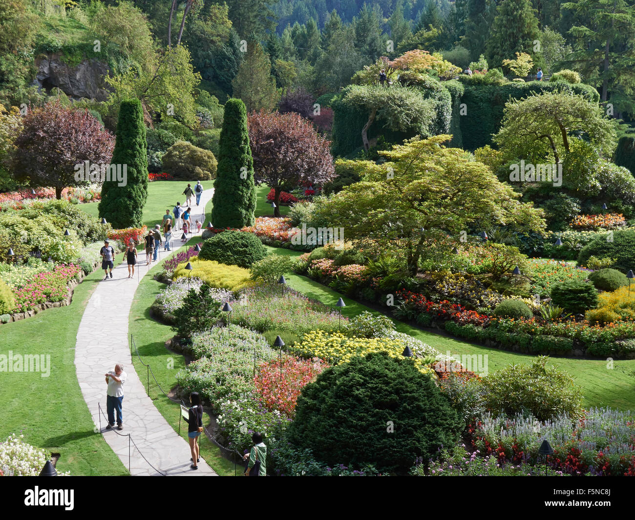 Les Butchart Gardens jardin en contrebas en été Banque D'Images