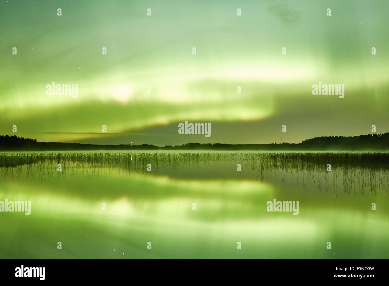 Aurores boréales dans le ciel de nuit sur un beau lac de Finlande. Couleurs éclatantes sur le ciel et l'image symétrique Banque D'Images