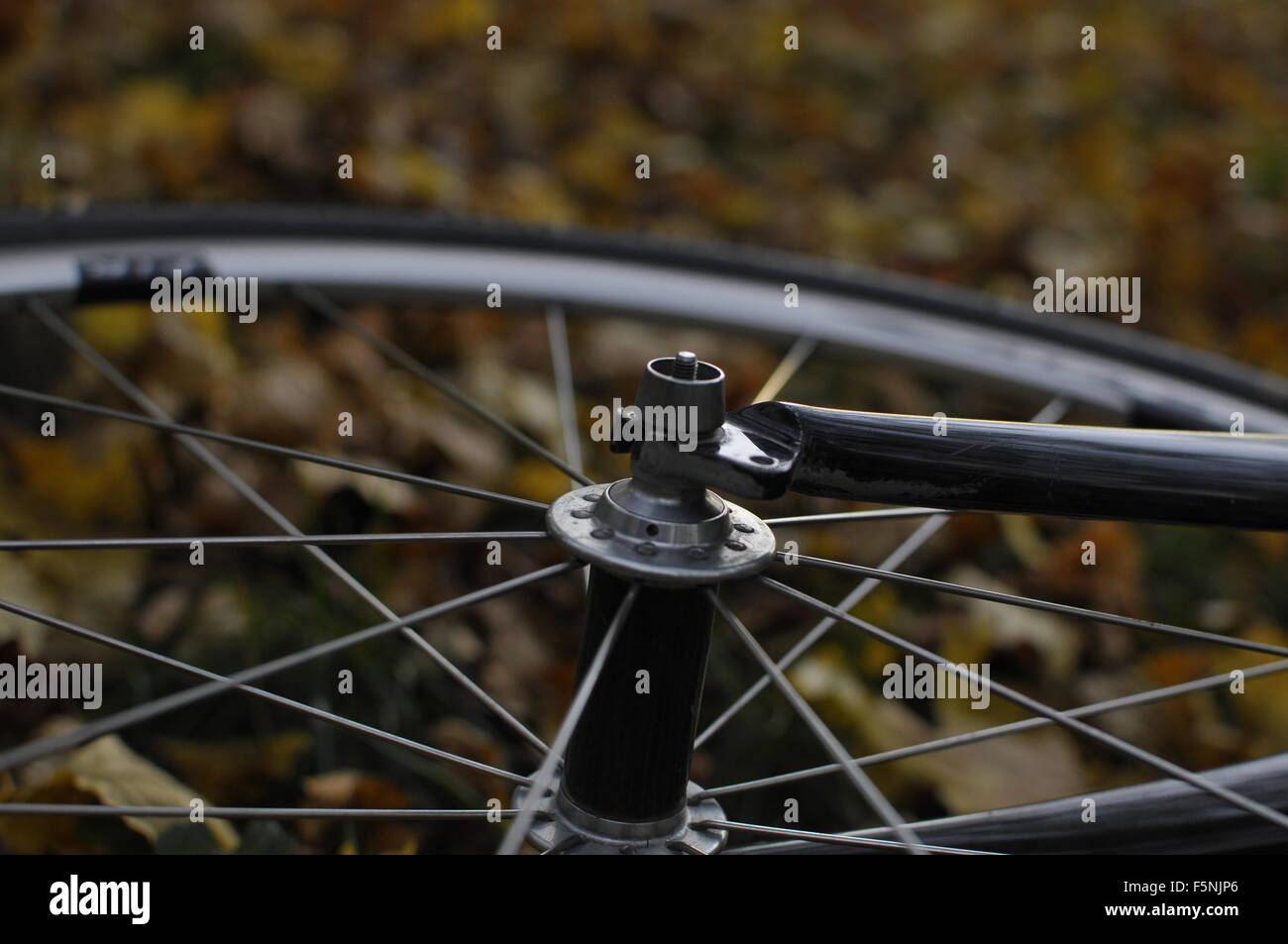 Close up, cycle cycle de roue de vélo cross, la sécurité fermer Banque D'Images