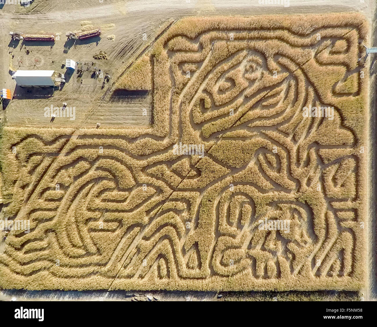 Areal view de sentiers de labyrinthe de maïs au-dessus Banque D'Images