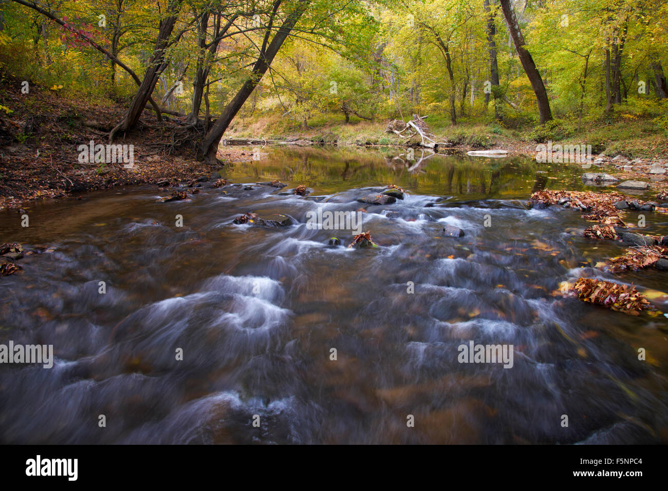 L'automne sur le milieu Patuxent River dans le comté de Howard, dans le Maryland Banque D'Images