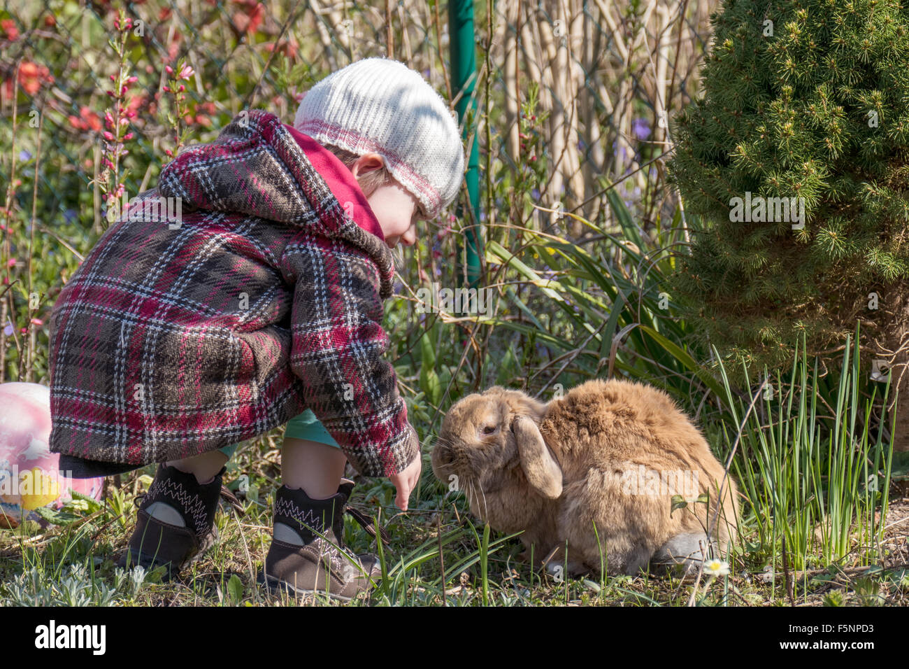 Petite fille de caresser un lapin pour animaux de compagnie Banque D'Images