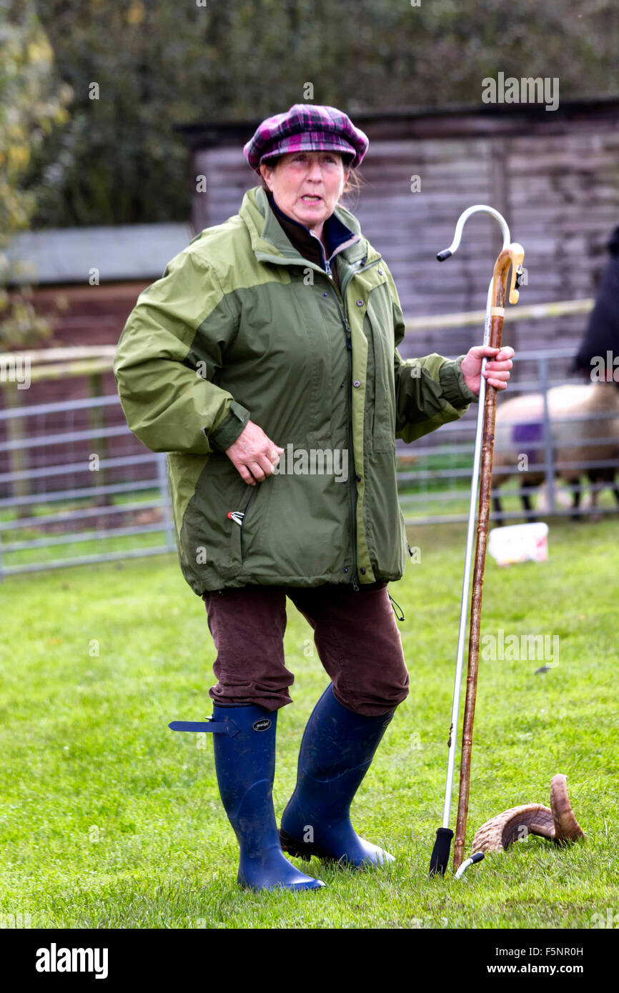 Shepherd donnant une démonstration, Jimmy's Farm, Wherstead, Ipswich, Suffolk, UK Banque D'Images