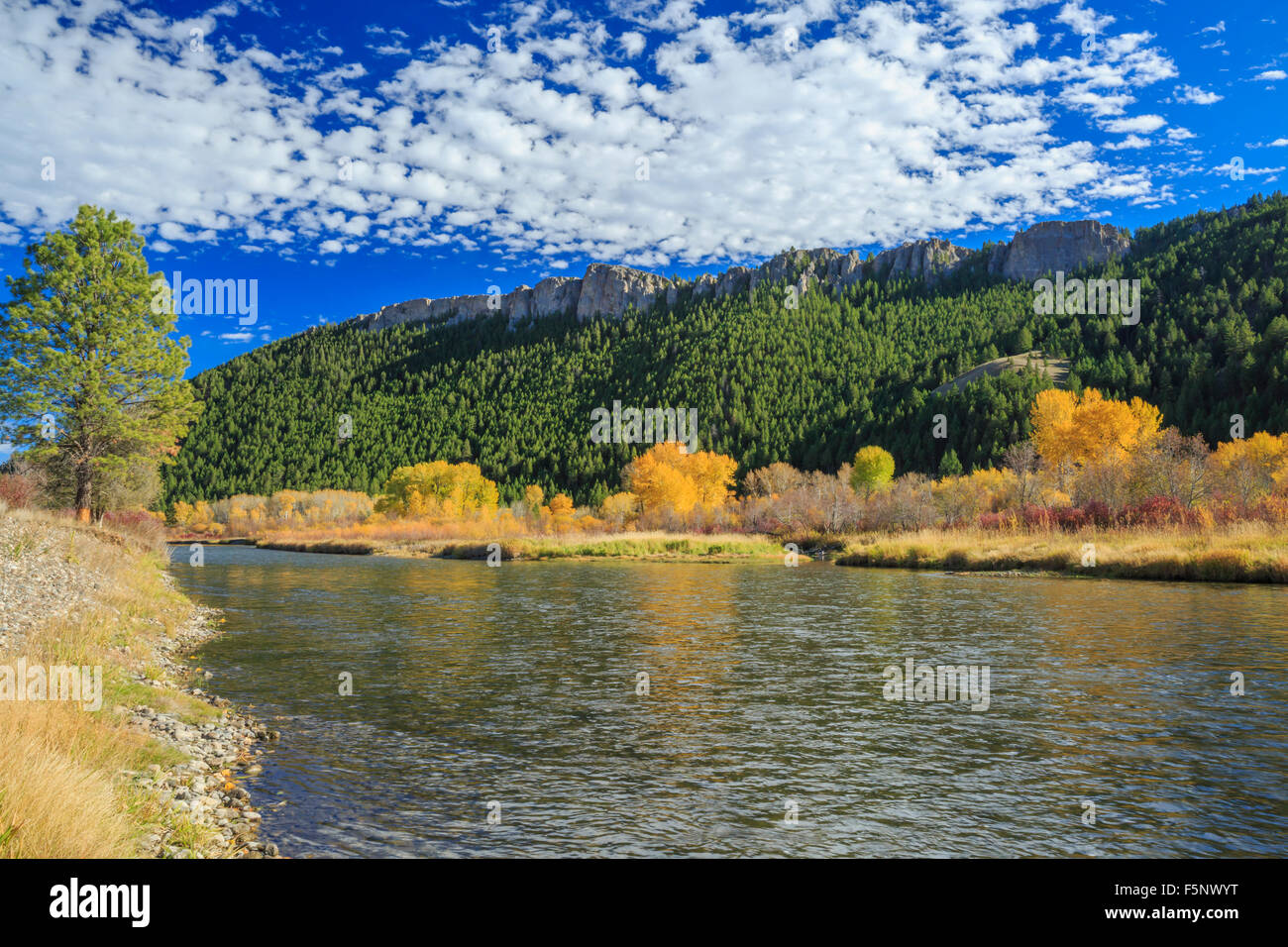 Couleurs d'automne et les falaises le long de la rivière Clark Fork près de Drummond, Montana Banque D'Images