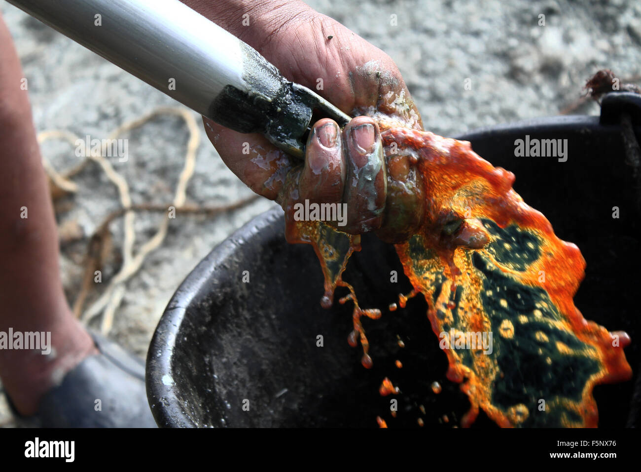 Sumatra Indonésie 07th Nov 2015 Libérer Les Travailleurs - 