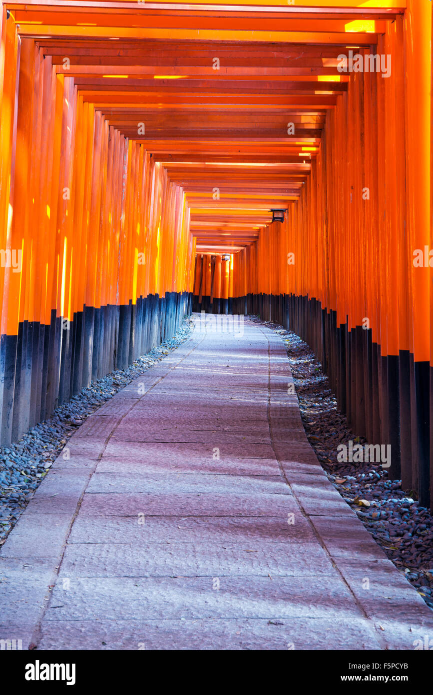 Senbon à Fushimi Inari Taisha Torii Kyoyo, Japon Banque D'Images