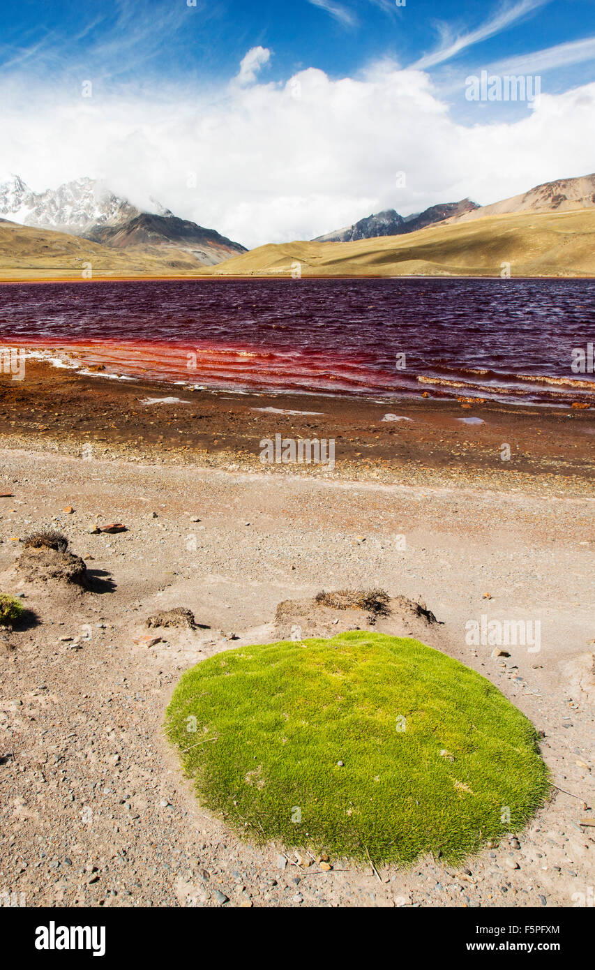 Miluni Laguna est un réservoir alimenté par les eaux de fonte des glaciers andins du pic de Huayna Potosi dans les Andes Boliviennes. Comme casuses Changement climatique Les glaciers de fondre, l'approvisionnement en eau de La Paz, la capitale de la Bolivie est rapidement. Le réservoir est également contaminé par les effluents miniers ainsi qu'à un faible niveau en raison de la sécheresse. Banque D'Images